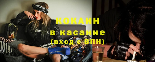 гидра Майский