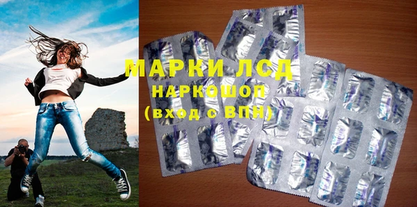 гидра Майский