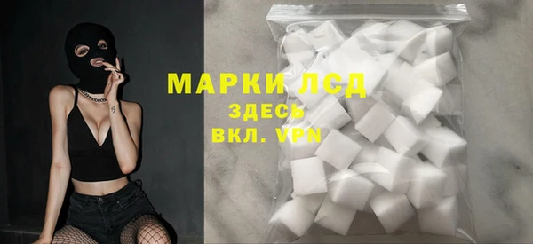 гидра Майский