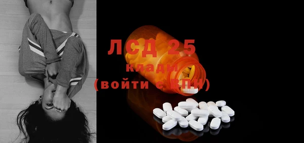 гидра Майский