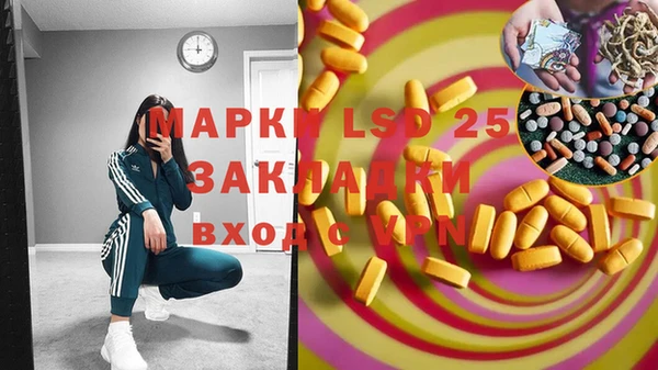 гидра Майский