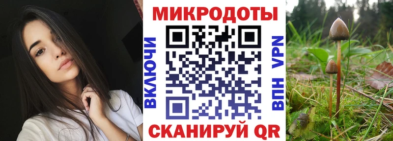 Галлюциногенные грибы Psilocybine cubensis  где продают   Гусиноозёрск 
